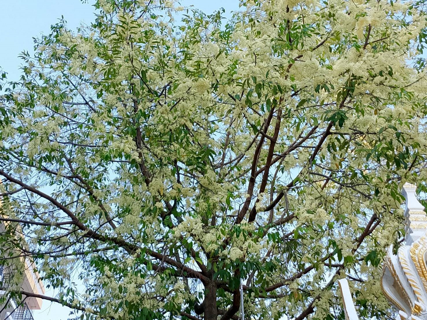 Facilities & Services